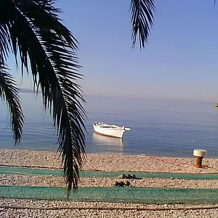 Mediteran *
